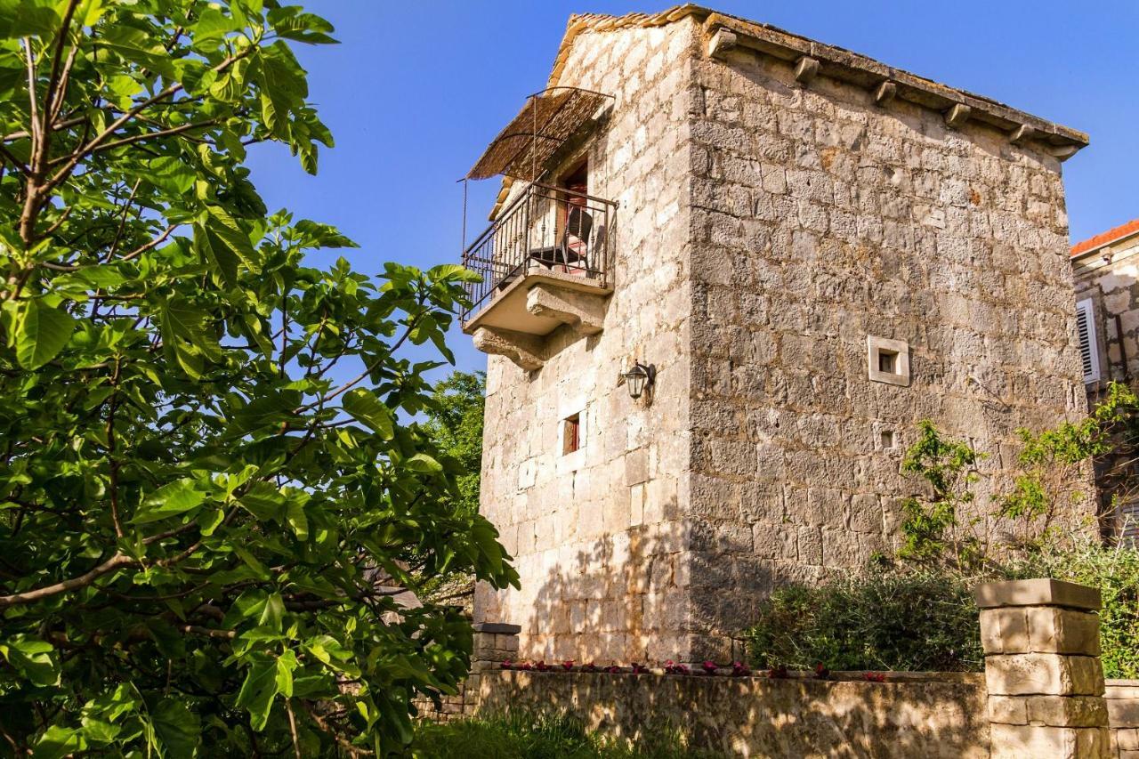 Old Small Stone House Zrnovo Екстер'єр фото