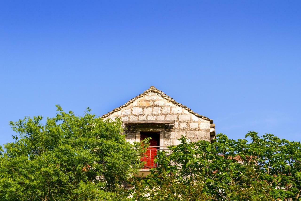 Old Small Stone House Zrnovo Екстер'єр фото